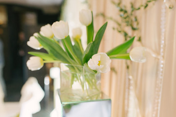 Bouquet of white tulips in a glass square Vahe in the decor and decoration of a wedding, anniversary, apartment or house