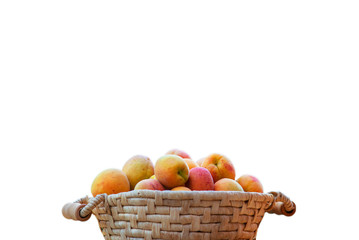 Fresh ripe apricots on the basket with white background