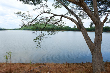 mountain and river at Thailand