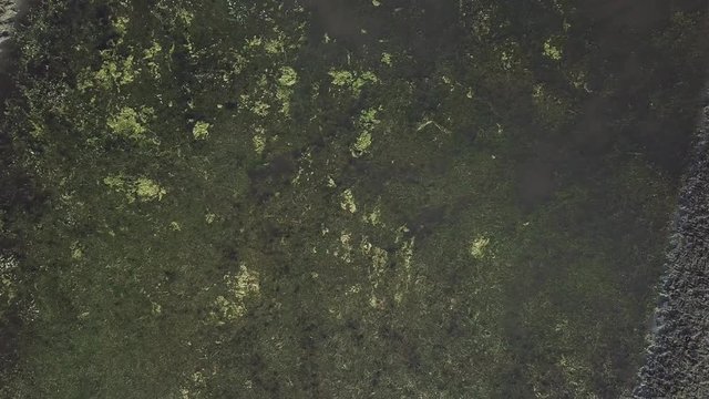 Lake with slowly dolly out movement from drone aerial shooting