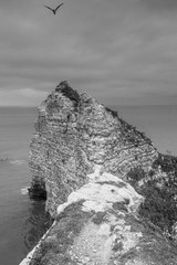 rocks in sea, cliffs of Etretat