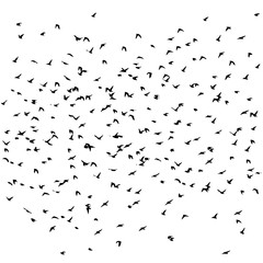 A flock of flying birds. Vector illustration