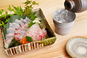 アオダイの刺身盛り合わせで一献