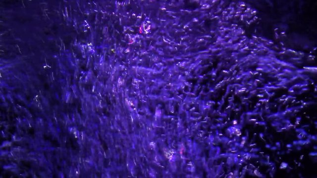 water bubbles abstract background live pulsating in aquarium purple color