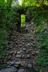 Brick arch deep in the green forest. Portal for draining water in the forest...