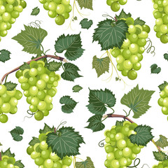 Grape vine seamless pattern and leaves on white background, Fresh organic food, White grape bunch pattern background, Fruit vector illustration.