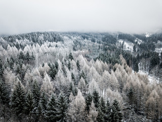 Liberec Region is an administrative unit of the Czech Republic, located in the northernmost part of...