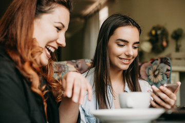 Lovely young female with dark long hair looking to a smartphone screen smiling while her girlfriend is laughing while singing in a cafe.
