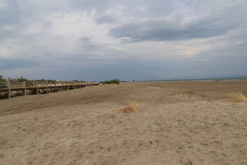 Fototapeta na wymiar Dunas en las playas de Riumar, en el Delto del Ebro