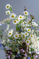 Close-up of bouquet of daisies and another wildflowers in the center on the grey background. Vertical. 