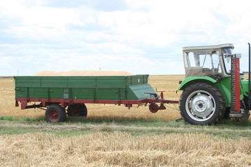 Traktoranhänger mit Getreide