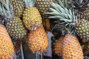 Caribbean pineapples 