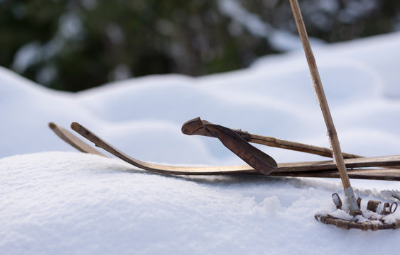 Esquimal Images Browse 68 Stock Photos, Vectors, and Video Adobe Stock