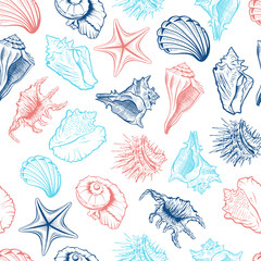 Seashells and starfish vector seamless pattern. Marine life creatures colorful drawings. Sea urchin freehand outline. Underwater animals engraving. Wallpaper, wrapping paper, textile design