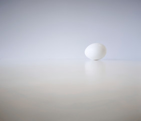 One white chicken egg lies on a white wood table