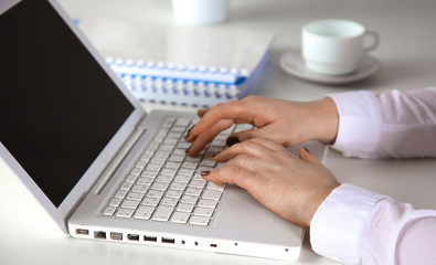 Fototapeta na wymiar Young businesswoman working on a laptop