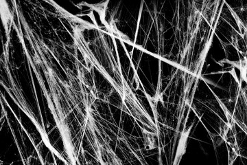 Spiderwebs on black grunge background. Ghotic illustration