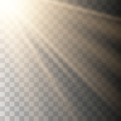 Vector transparent sunlight special