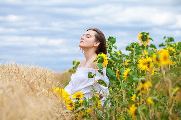 Fototapeta premium Brunette woman in white blouse sitting on a background of golden wheat and sunflowers fields