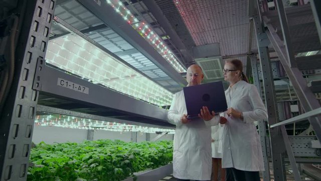 Scientists in white coats with a laptop and a tablet on a vertical farm with hydroponics make research data on vegetables in the data center for the analysis and programming of watering plants