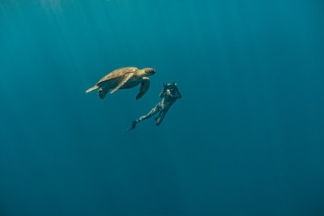 Underwater photographer dives and captures a green sea turtle gracefully swimming near the surface.
