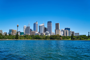 Fototapeta premium Królewski Ogród Botaniczny w Sydney.