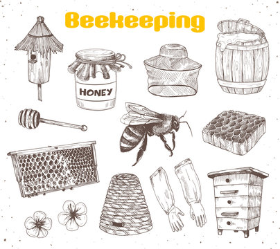 Beekeping Sketches Collection