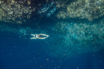 Fototapeta na wymiar Young woman in sexy swimwear explores a pristine reef in Pescador island, Moalboal.