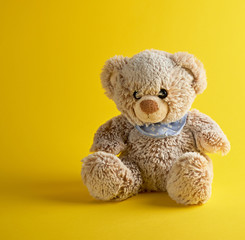 brown teddy bear sitting on a yellow background
