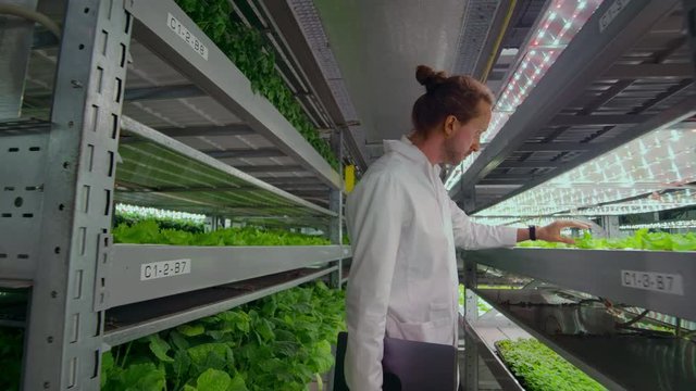 A group of people in white coats with a laptop and a tablet on a hydroponic farm contribute research data on vegetables to the data center for analysis and programming of plant irrigation