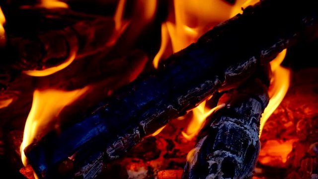 Fire with burning wood logs on a campfire close up video in 4K. Slow motion clip at half speed.