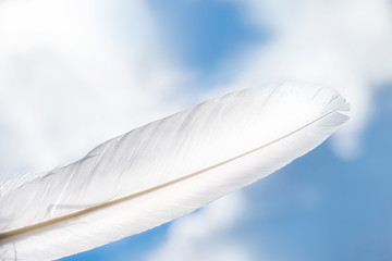 color photo white goose feather on the background of blue, cloudy sky