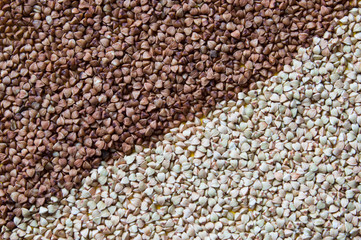Grain green and brown buckwheat background. Top view.