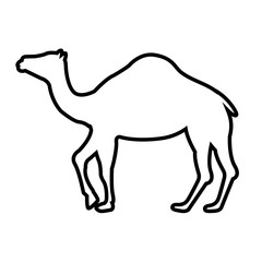 Camel line icon, logo isolated on white background