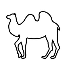 Camel line icon, logo isolated on white background