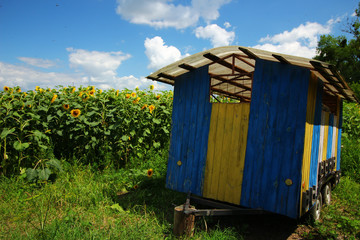 Fototapety na wymiar - Fototapeta24.pl