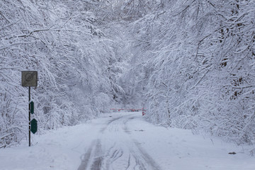  road with winter road conditions snowy road and fog is poorly visible