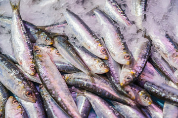 different types of fresh fish on ice in a fish market