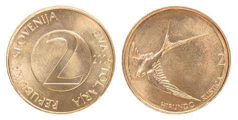 Isolated Tolar Coin - Slovenia