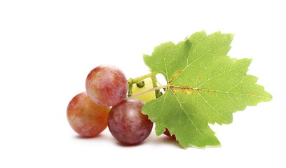 Fresh Cardinal grapes with leaf isolated on white background