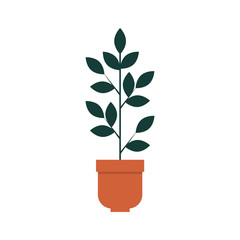 houseplant in pot natural icon