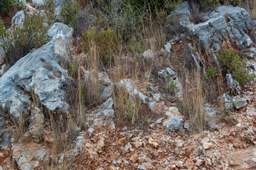 Fototapeta na wymiar Fragment with a texture of rock