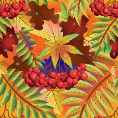 Autumn seamless card with rowan, vector illustration