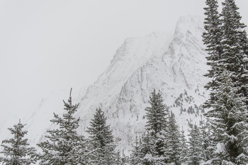 Looking towards a snowy Rocky Mountain face enduring a blizzard
