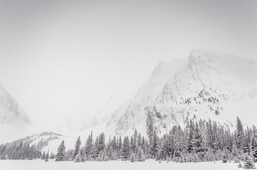 Snowy trees at the bottom of a rocky mountain face during a snow storm