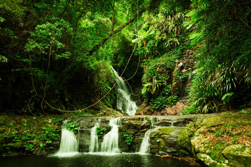 Elabana Falls  waterfall in Lamington National Park