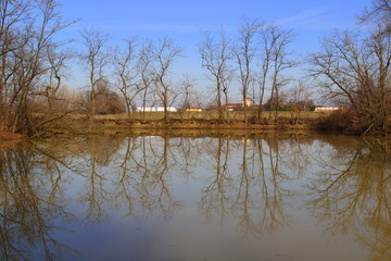 winter pond landscape with brown water