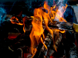 Burning orange bonfire close up in nature