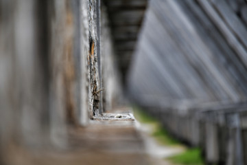 A salt stain on woods Ciechocinek Poland Europe. The biggest wood saline.  