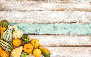 Pumpkin wooden background autumn harvest thanksgiving